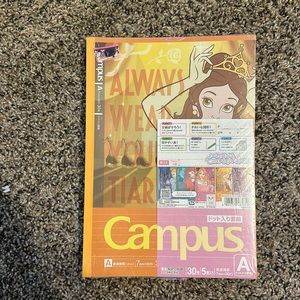 Disney Princess campus notebook